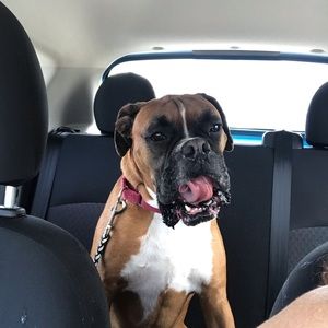 Meet your Posher, Cindy